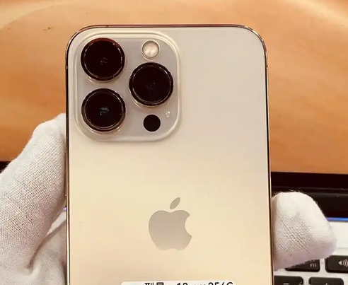 干驿镇苹果13维修中心分享如何在iPhone13上设置动态壁纸 干驿镇苹果13维修中心分享如何在iPhone13上设置动态壁纸